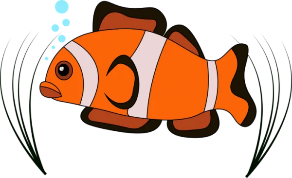 Cute Cartoon Clownfish PNG Transparent Background