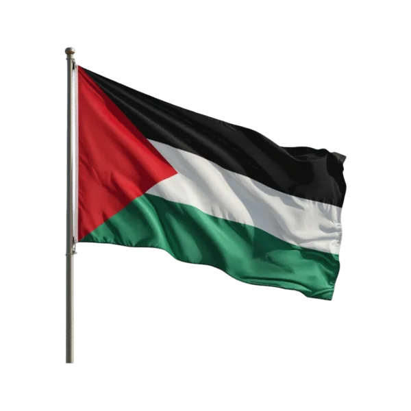 Palestine Flag Waving PNG Transparent Background