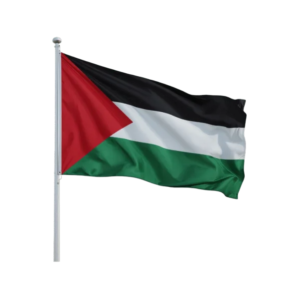 Palestinian Flag Waving PNG Transparent Background
