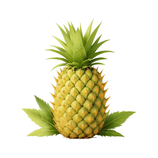 Whole Pineapple Fruit PNG Transparent Background