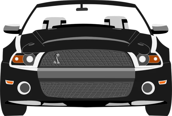Black Ford Mustang Shelby GT500 Front PNG