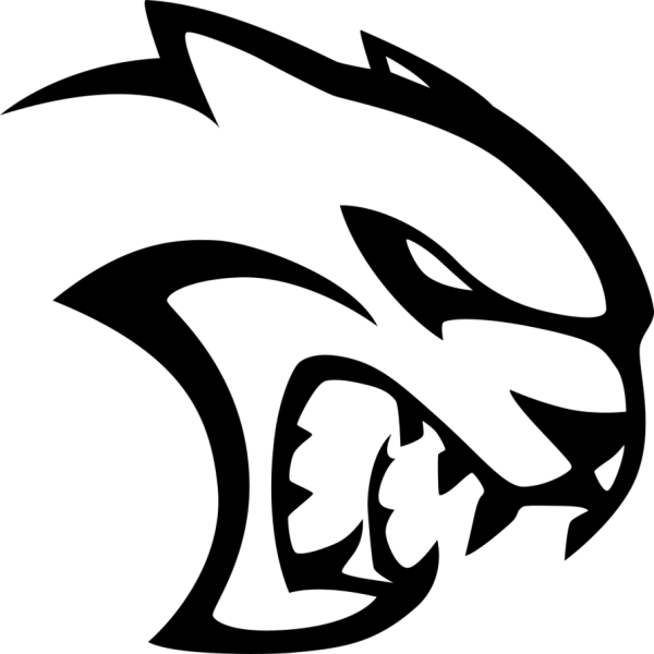 Completely Transparent PNG