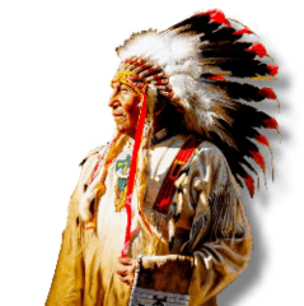 Indigenous Man in Traditional Headdress PNG Transparent