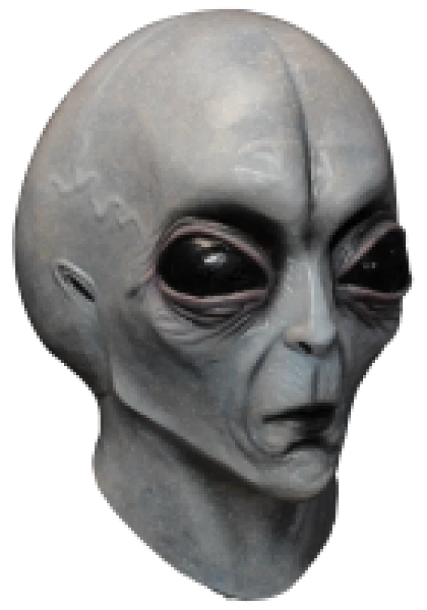 Grey Alien Head PNG Transparent Background