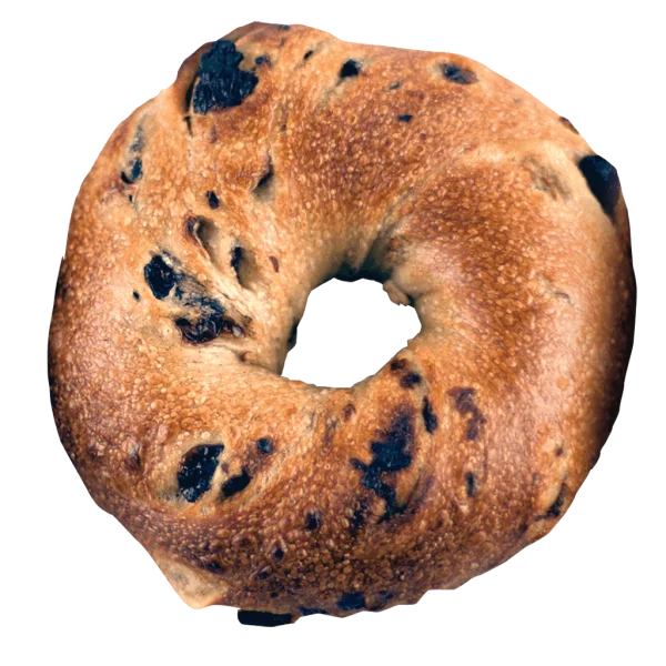 Blueberry Bagel PNG Transparent Background