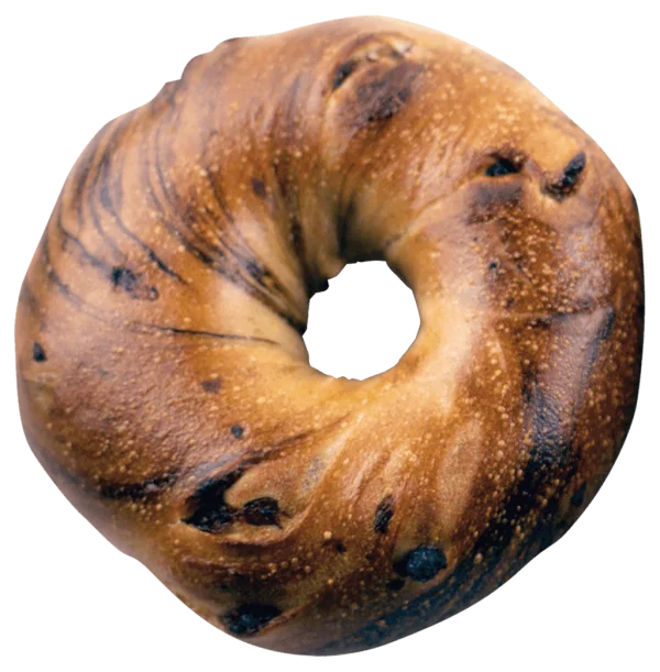 Cinnamon Raisin Bagel PNG Transparent Background