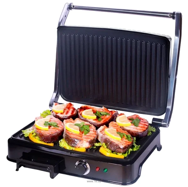 Electric Grill with Salmon Steaks PNG Transparent Background