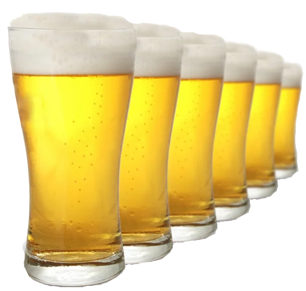 Row of Beer Glasses PNG Transparent Background