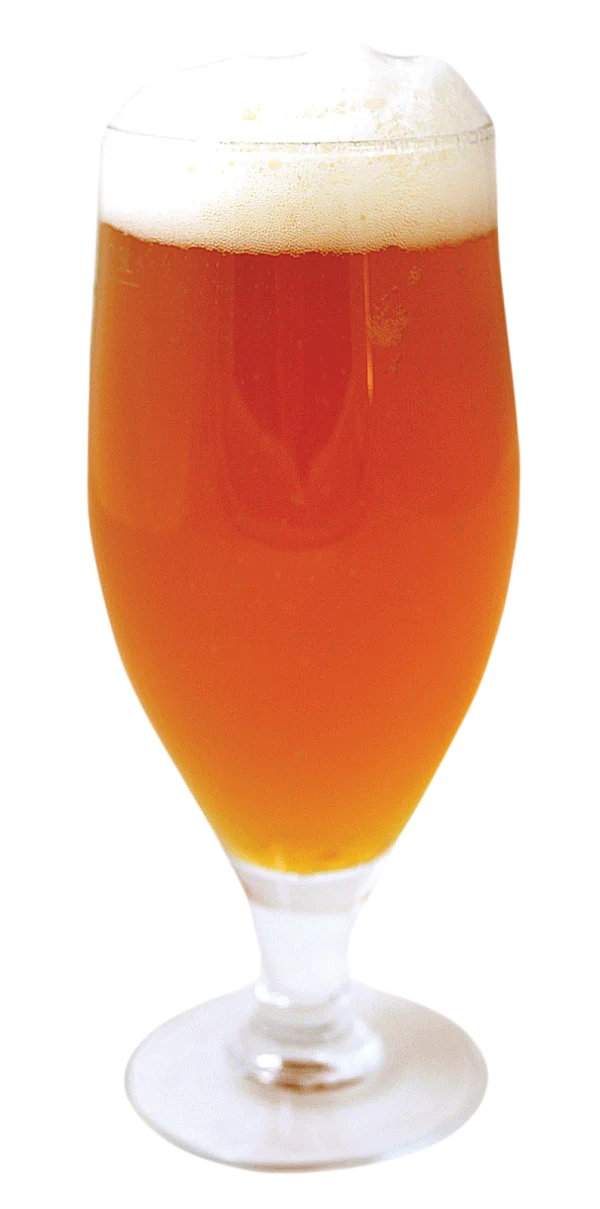 Glass of Beer with Foam PNG Transparent Background