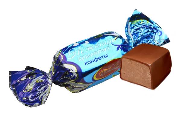 Unwrapped Chocolate Candy PNG Transparent Background