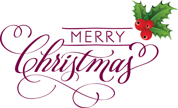 Merry Christmas Calligraphy with Holly PNG Transparent Background