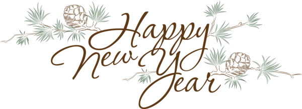 Happy New Year Pine Branch & Pinecone PNG Transparent Background