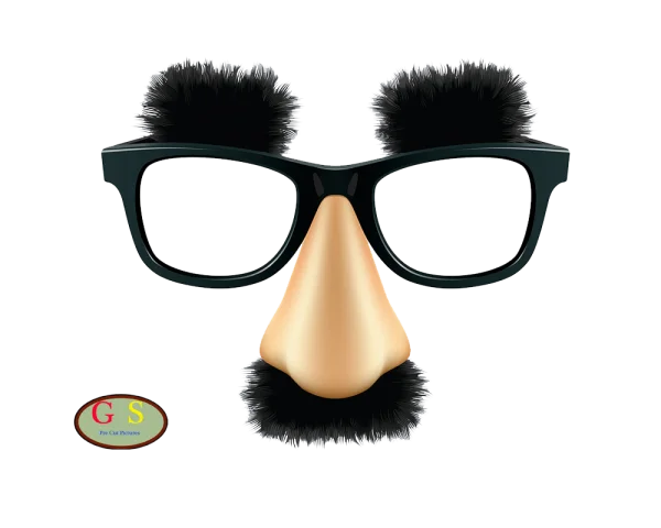 Funny Glasses Disguise with Nose and Mustache PNG