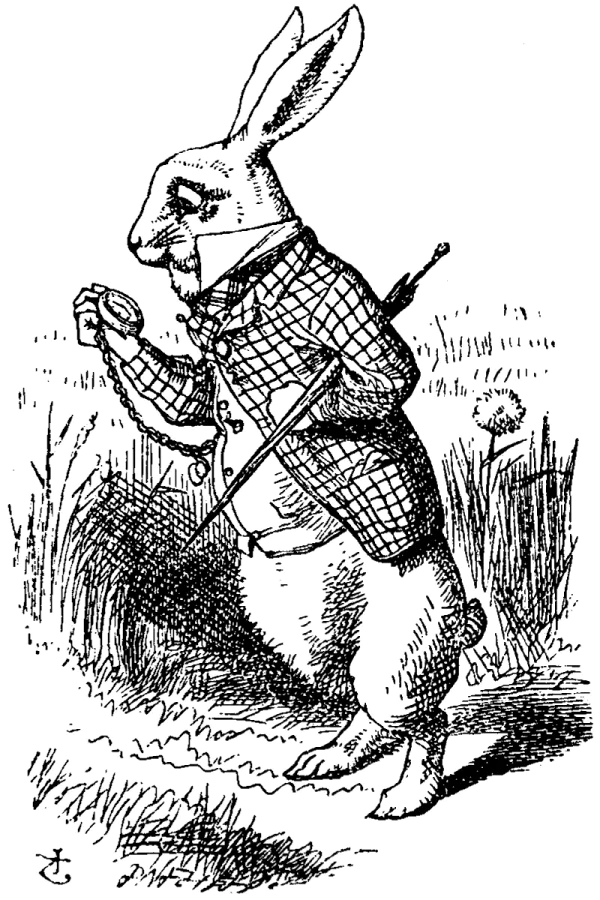 White Rabbit with Pocket Watch Illustration PNG