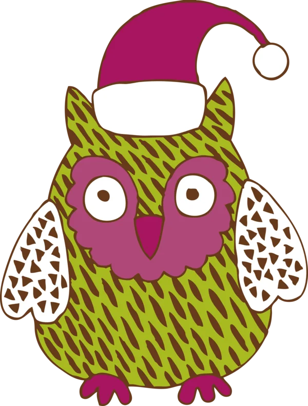 Cute Christmas Owl with Santa Hat PNG