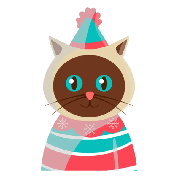 Cute Winter Cat in Party Hat PNG Transparent