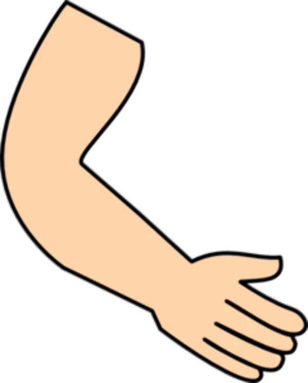 Cartoon Arm with Hand PNG Transparent Background