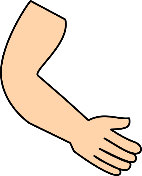 Cartoon Arm with Open Hand PNG Transparent Background