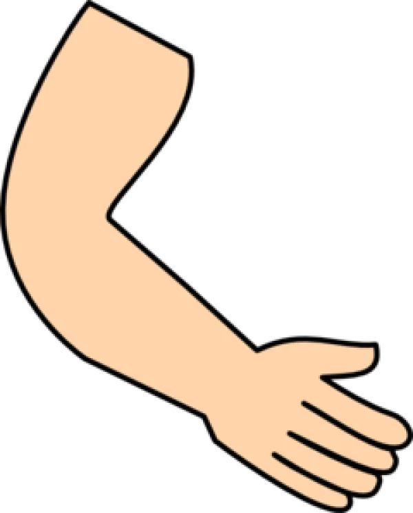 Cartoon Human Arm Illustration PNG Transparent