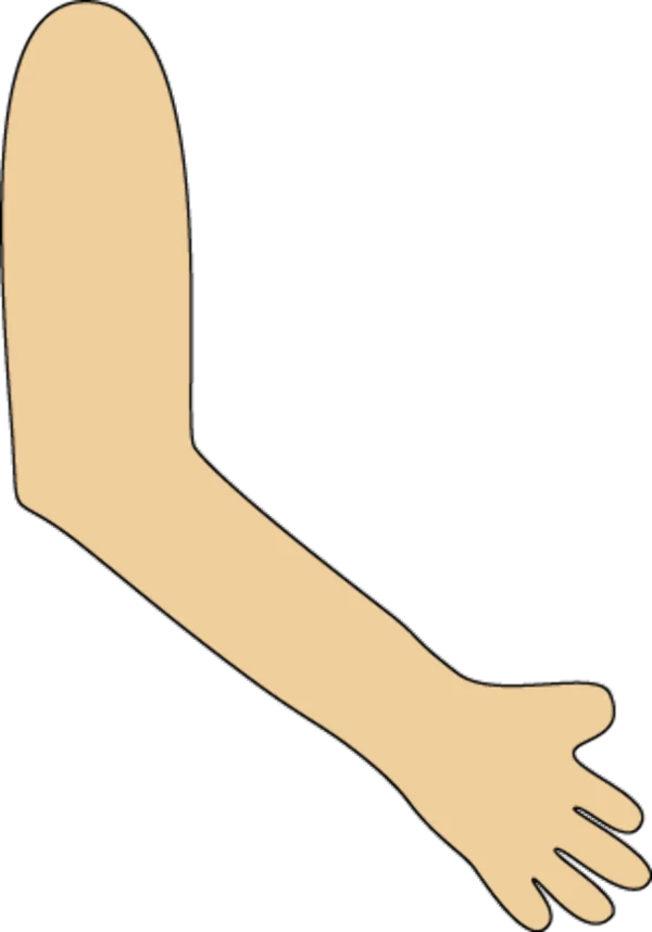 Cartoon Human Arm with Hand PNG Transparent