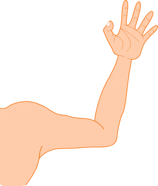 Cartoon Muscular Arm with OK Gesture PNG Transparent