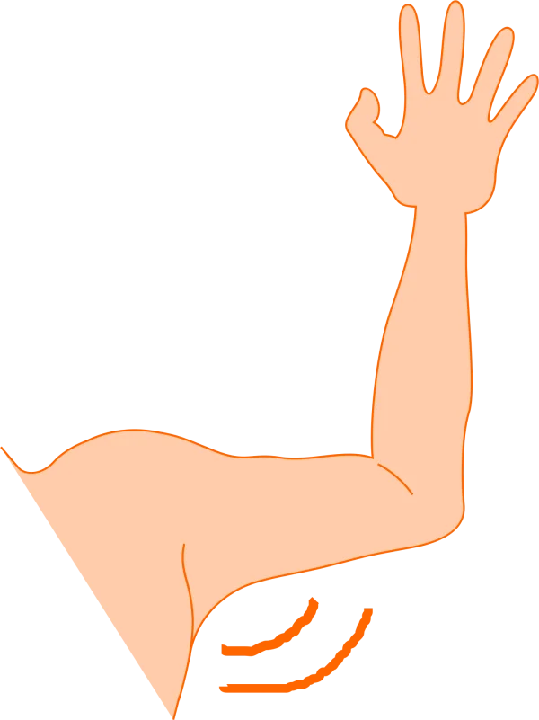 Flexing Bicep Arm Cartoon PNG
