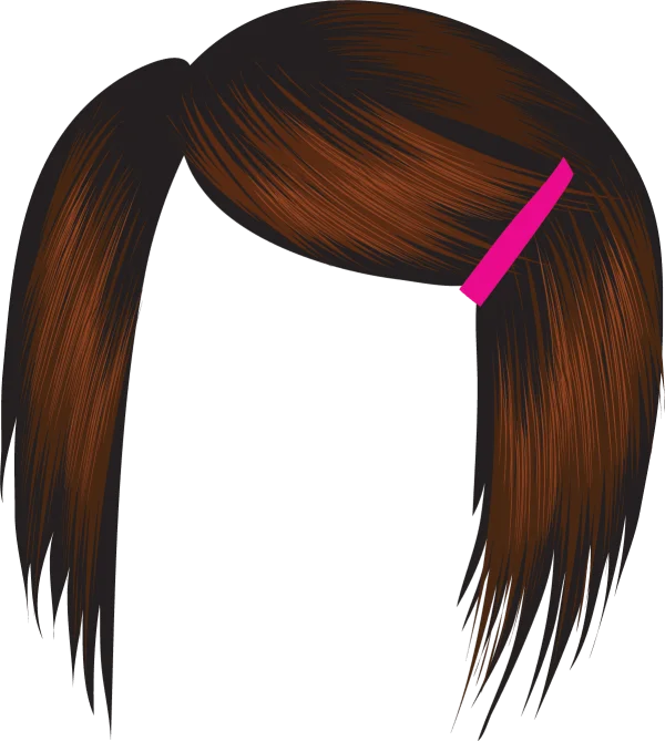Brown Hair with Pink Hair Clip PNG Transparent