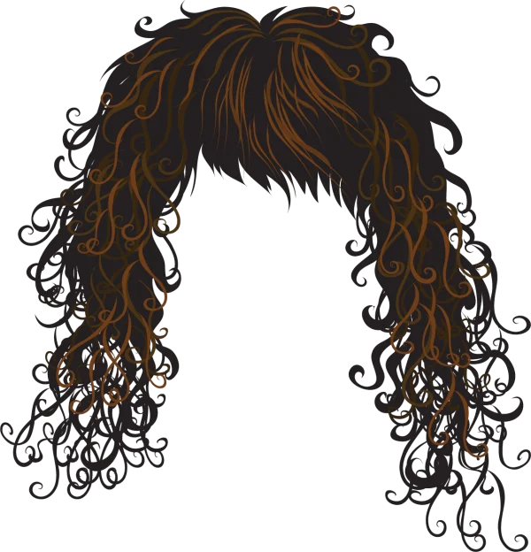 Long Curly Brown Hair PNG Transparent Background