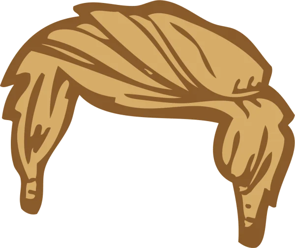 Cartoon Blonde Hairstyle PNG Transparent Background