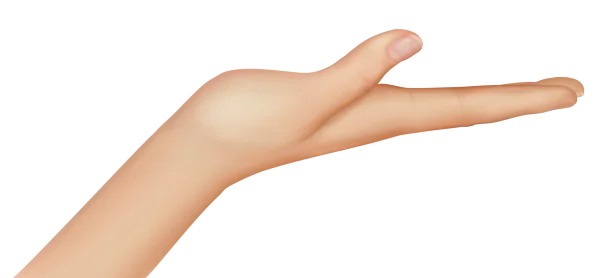 Open Hand Palm Up PNG Transparent Background