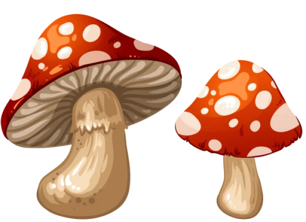 Cartoon Red Mushrooms Transparent Background