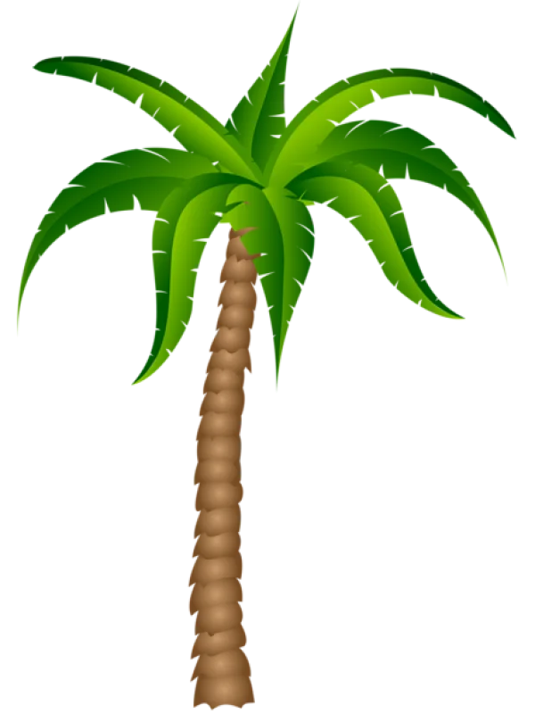 Palm Tree PNG Transparent Background