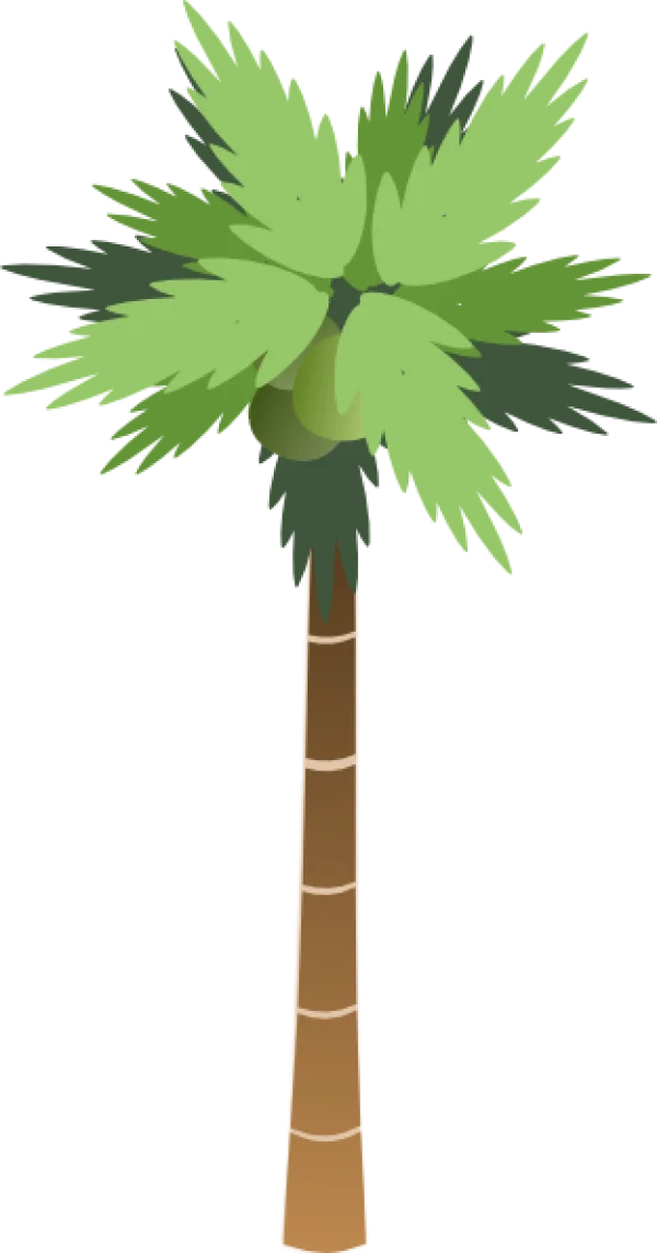Cartoon Palm Tree PNG Transparent Background