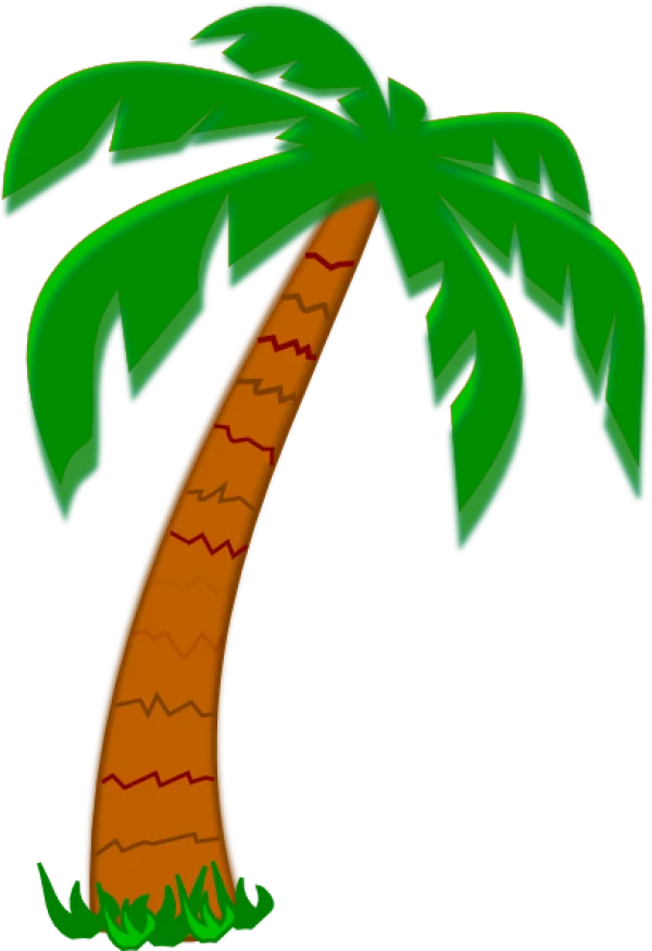 Cartoon Palm Tree PNG Transparent Background