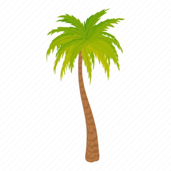 Stylized Palm Tree PNG Transparent