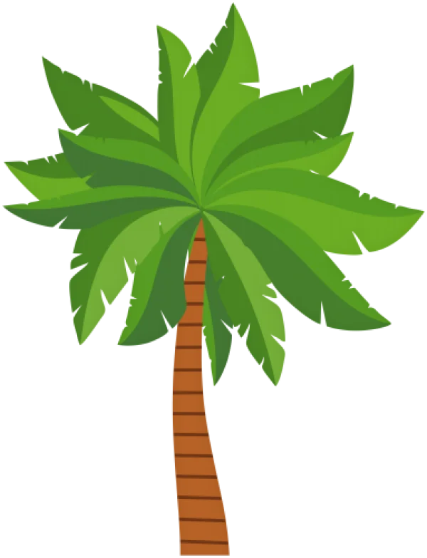 Cartoon Palm Tree PNG Transparent Background