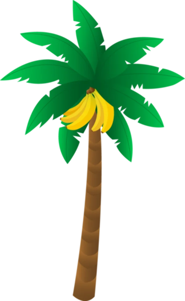 Cartoon Palm Tree with Bananas PNG