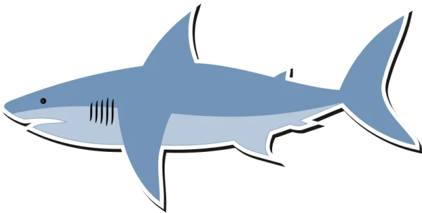 Cartoon Blue Shark PNG Transparent Background
