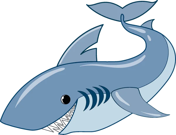 Cartoon Shark PNG Transparent Background