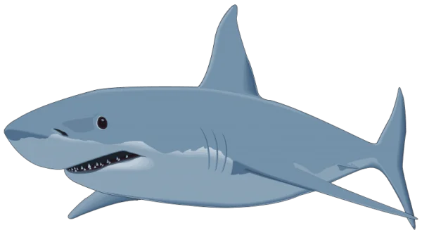 Cartoon Shark PNG Transparent Background