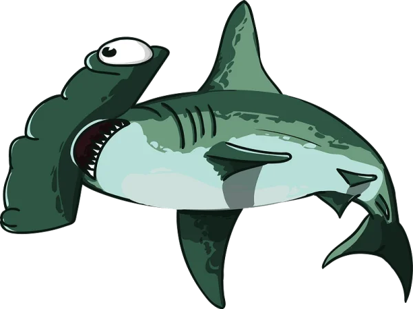 Cartoon Hammerhead Shark PNG Transparent