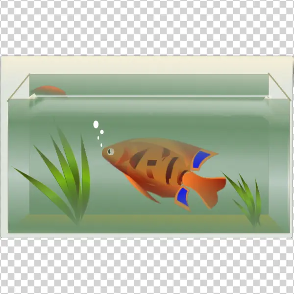 Cartoon Fish in Aquarium PNG Transparent