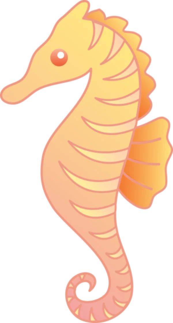 Cute Cartoon Seahorse PNG Transparent Background