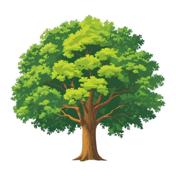 Lush Green Tree PNG Transparent Background