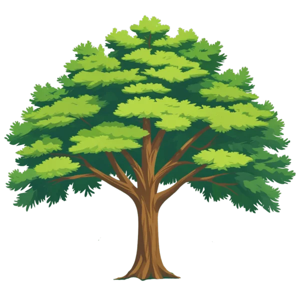 Green Leafy Tree PNG Transparent Background