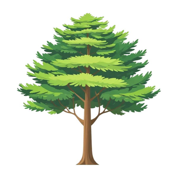Cartoon Pine Tree PNG Transparent Background