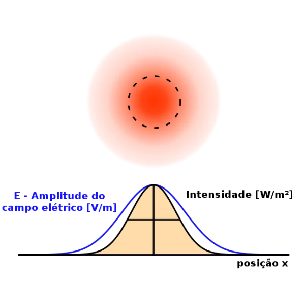 Electric Field Amplitude and Intensity Distribution Diagram