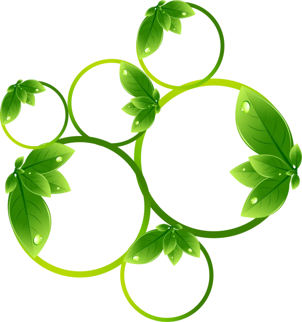Green Leafy Circles Frame PNG
