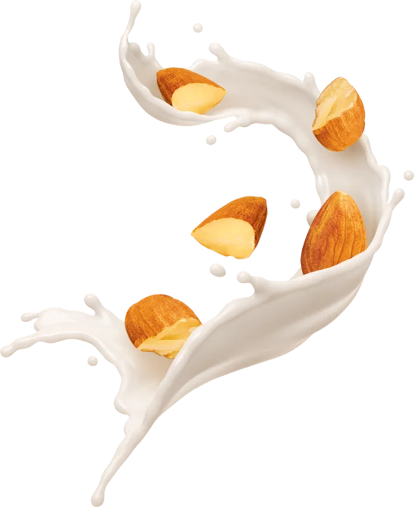 Almonds Milk Splash PNG Transparent Background