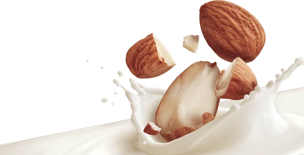 Almonds and Milk Splash PNG Transparent